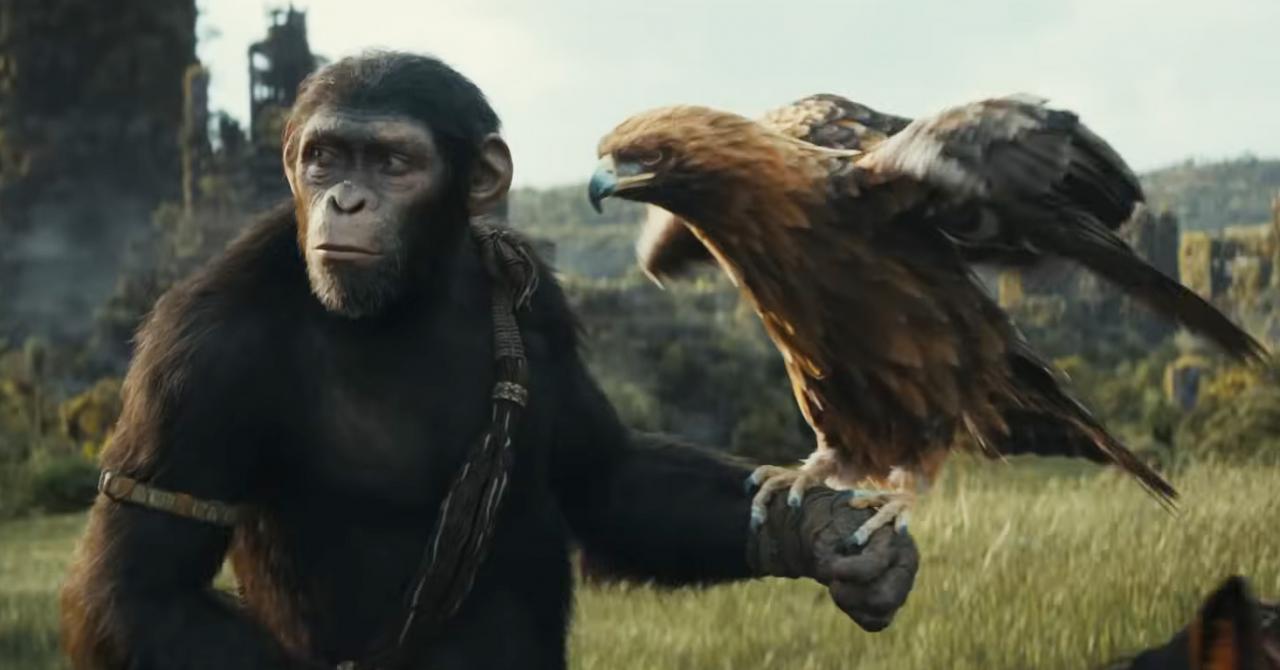 Planet of the Apes 4: “New Kingdom” trailer