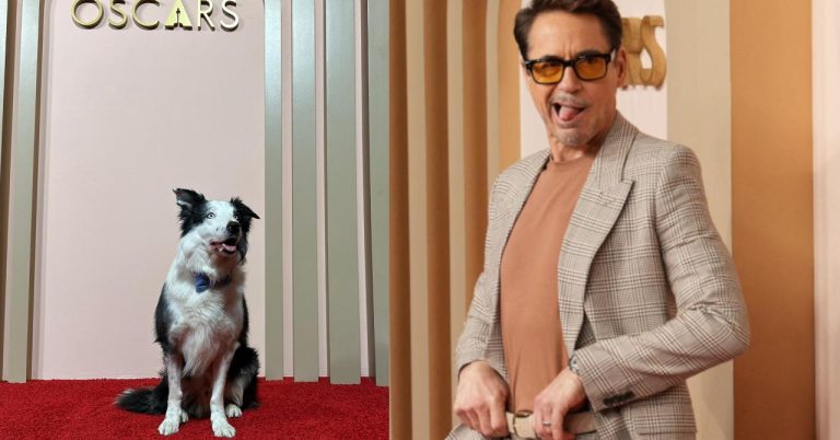 The dog from Anatomy of a Fall steals the show from the stars at the Oscars!