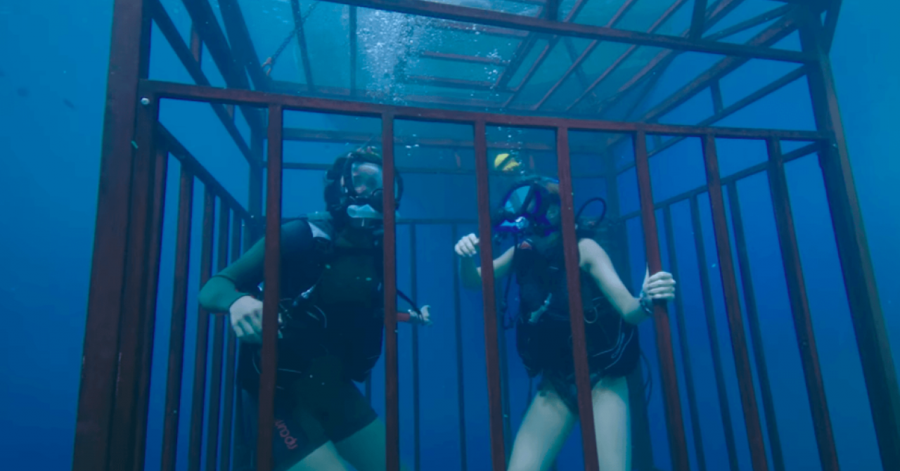47 Meters Down: the shark film phenomenon returns to TV this evening