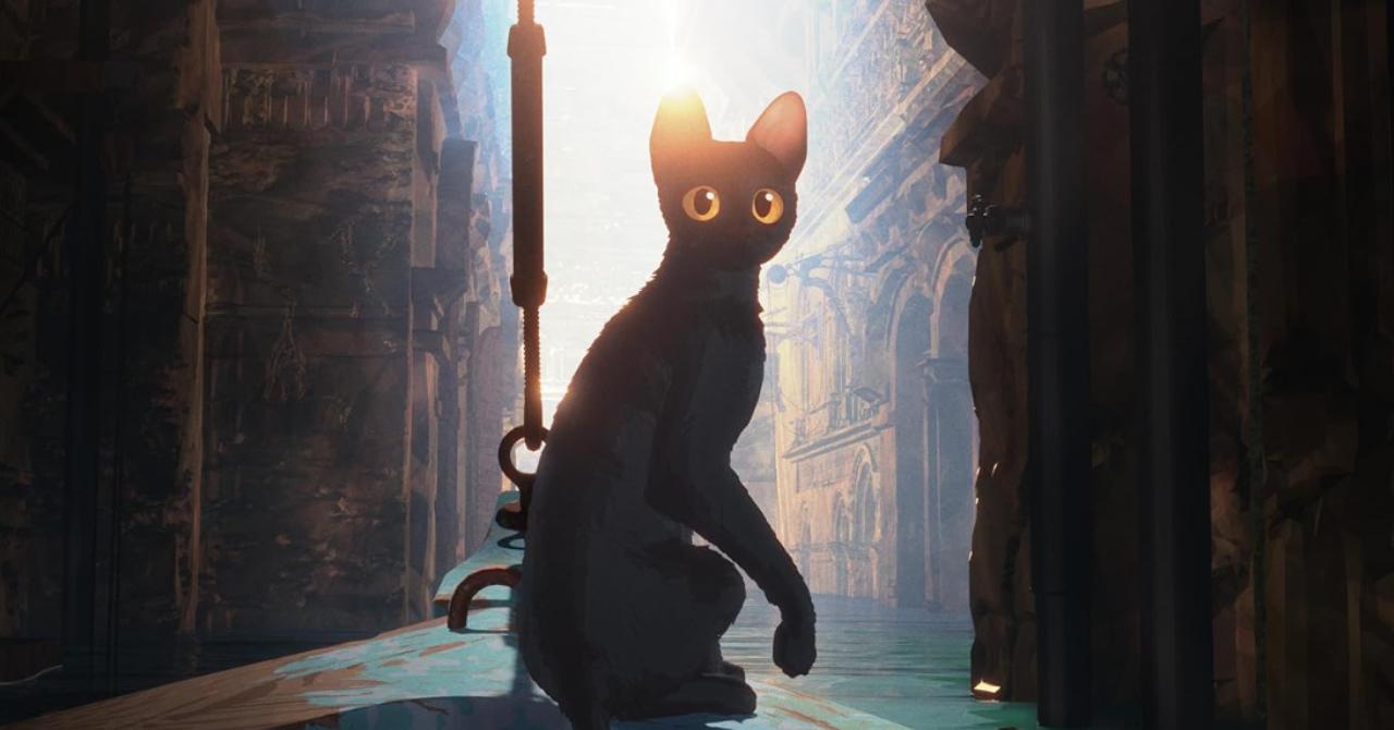 Flow, the cat who was no longer afraid of water, sails towards new horizons (trailer)