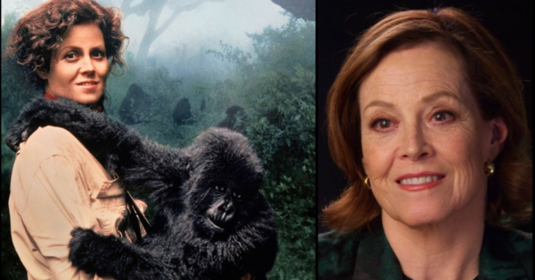 Gorillas in the Mist/Style Heroine: Sigourney Weaver special evening on Arte
